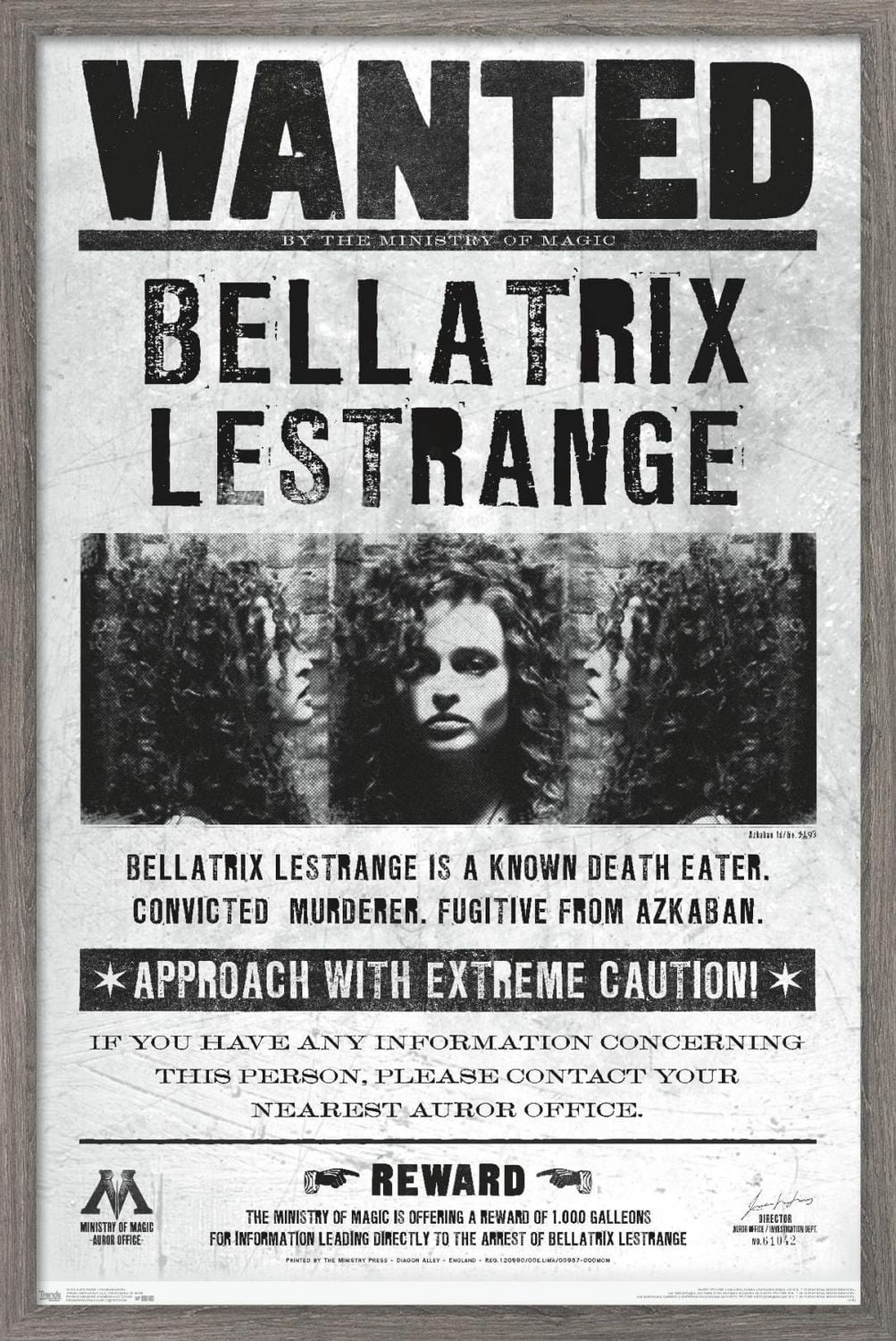 Le monde des sorciers: Harry Potter - Bellatrix Wanted Poster