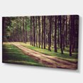 thumbnail image 2 of Vintage Style Forest with Pathway - Modern Forest Canvas Art, 2 of 4