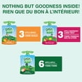 thumbnail image 2 of GoGo squeeZ Fruit Sauce Snack Pouches Variety Pack, Apple Apple, Apple Raspberry Lemon Twist, Apple Mango, No Sugar Added. 90g per pouch, Box of 12 Pouches, 2 of 7