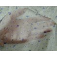 thumbnail image 4 of oneOone Silk Tabby Fabric Leaves & Flower Floral Print Fabric BTY 42 Inch Wide, 4 of 4
