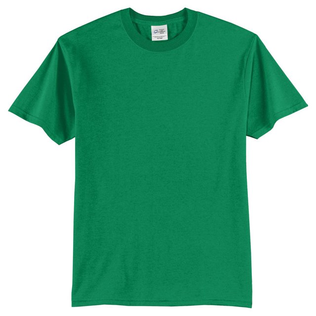Port & Company T-Shirt Durable et Infroissable pour Hommes