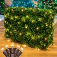 thumbnail image 1 of Novelty Lights 2x10 Net Lights, 100 Warm White LEDs on Brown Wire, 1 of 5