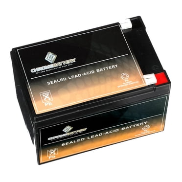 CB CHROMEBATTERY Batterie Sans Entretien 12V 15AH pour Systèmes d'Alarme, Trottinettes, Jouets, Lumières d'Urgence, et Plus - Terminal Pelle (F2)