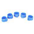 thumbnail image 1 of 10mm Pigeons Ring Poultry Foot Ring Pigeons Identify Ring 200Pcs 10mm Pigeons No Word Leg Ring Poultry Foot Clip Identification Ring Birds SuppliesBlue, 1 of 8