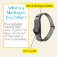 thumbnail image 4 of Country Brook Petz Martingale Dog Collar - Heavy-Duty Training Collar with No Buckle - Service Dog Collar for All Pups - Vibrant, Colorful Collection (Charcoal, 3/4 Inch, Small), 4 of 8