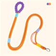 thumbnail image 1 of CNKOO 5-Foot Durable Polyamide Dog Leash with Comfort Grip and Secure Lock for All Breeds - Tug-Resistant  Multipurpose Pet Leash, 1 of 7