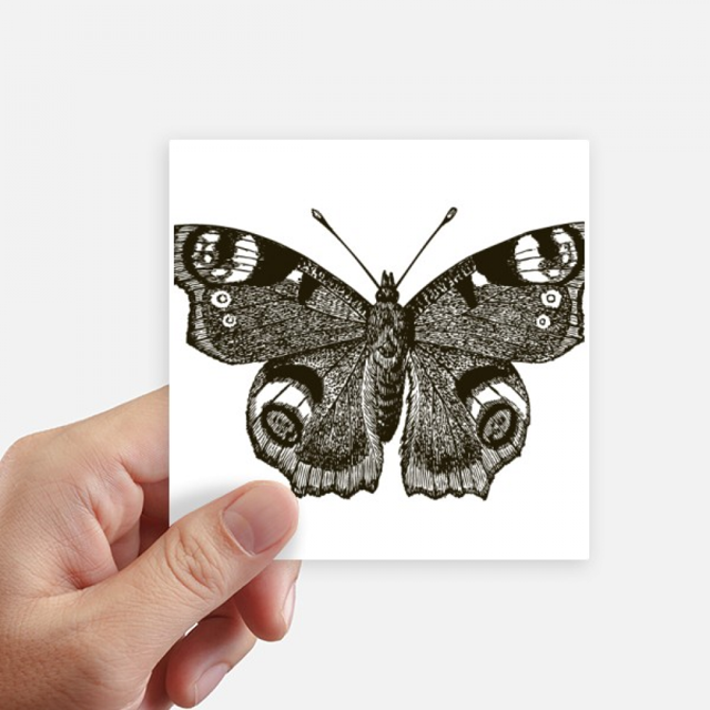 with Dark Wing Dark Colour Sticker Square Waterproof Stickers Wallpaper Car Decal