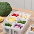thumbnail image 4 of TIELUTT And Convenient Scallion Preservation with Lid Divided Long Food Storage Containers Airtight Pet Food Container Storage Organizer for Organizers and Storage for Kitchen Kitchen Organization, 4 of 8