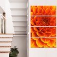 thumbnail image 1 of Orange Abstract Flower and Petals - Floral Canvas Art Print, 1 of 3