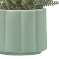 thumbnail image 3 of Bouclair fougère artificielle en pot, 3 of 4