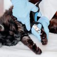thumbnail image 4 of Professional Pet Cat Nail Clipper Scissors Trimmer for Cats, Rabbits and Small Animals, Cat Claw Clippers Scissors, Stainless Steel style 2, 4 of 5