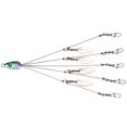 thumbnail image 1 of Bgsha Umbrella Fishing Bass Lure Rig 5 Arms Alabama Rig Head Swimming Bait with Swivel, 1 of 8
