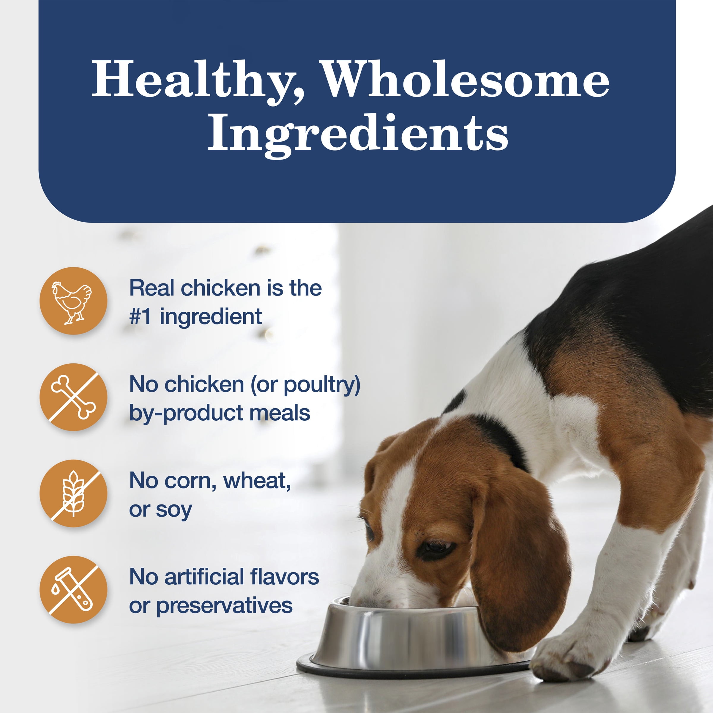 Blue Buffalo Homestyle Recipe Large Breed Chicken Dinner Wet Dog Food