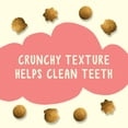 thumbnail image 2 of Friskies Party Mix Seaside Crunch, Natural Cat Treats 454g, 2 of 9