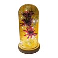 thumbnail image 1 of Eternal Flower Romantic Luminous Wooden Base Transparent Dome Flower Light for Valentine‘s Day, 1 of 8