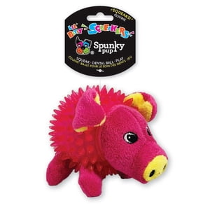 Lil' Bitty Squeakers Pig Dog Toy