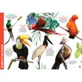thumbnail image 4 of My Giant Animal Book, 4 of 5