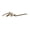 Warm Brown, variant on LA Girl Shady Slim Brow Pencil