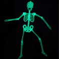 thumbnail image 4 of PVCS Luminous Skull Skeleton Body Scary Halloween Toy Haunted House Tricky Prop Gift for Kids, 4 of 9