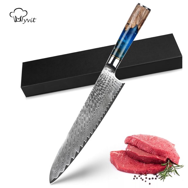 9 inch Kitchen Damascus Steel VG10 Chef Knife Blue Resin and Color Wood Handle with Box