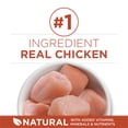 thumbnail image 4 of Purina ONE +Plus High Protein Chicken Formula, Dry Cat Food 1.8 kg, 4 of 10