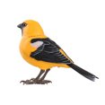 thumbnail image 1 of Robot Bird Singing and Chirping Bird Toy Simulate The Chirping Of Birds Battery Operated Realistic Singing Chirping Birds for Home Decoration Light & Voice Control (Without Battry), 1 of 3