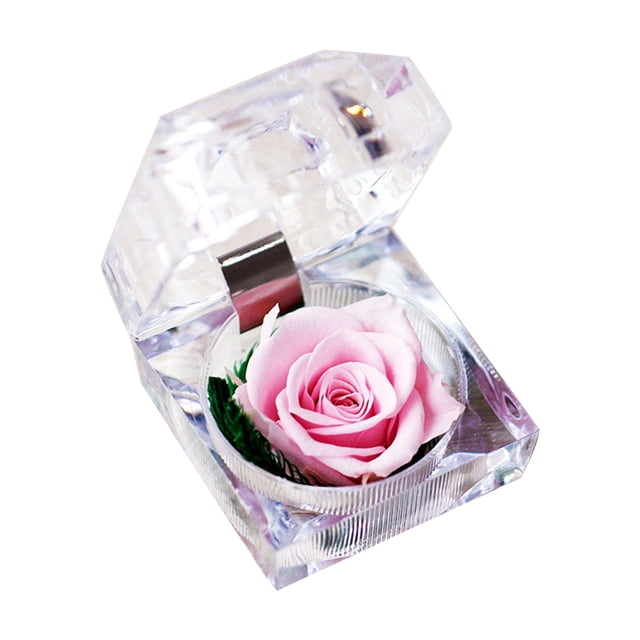 Preserved Real Rose Flower in Clear Box Eternal Rose Scented Forever Rose Flower Present for