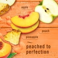 thumbnail image 3 of Febreze Plug In Air Freshener, Odor-Fighting Scented Oil Refill, Lilac and Peach Scent, 4 Refills, 3 of 9