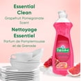 thumbnail image 2 of Palmolive Essential Clean Liquid Dish Soap, Grapefruit Pomegranate Scent, 473 mL, 2 of 8