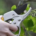 thumbnail image 2 of Silver pruning shears Fruit tree shears Gardening tools, 2 of 5