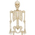thumbnail image 4 of 5ft Light Up Poseable Skeleton Decoration, Halloween Outdoor Decor, by Way To Celebrate, 4 of 4