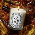 thumbnail image 3 of Ambre Aromatherapy: Unleashes The Warm Aroma of Natural Amber for a and Luxurious Home Experience Diptyque Ambre Diffuser Plastic 1X Diptyque Ambre Diffuser, 3 of 6