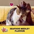 thumbnail image 4 of Temptations Seafood Medley Flavour Soft & Crunchy Adult Cat Treats, 4 of 11