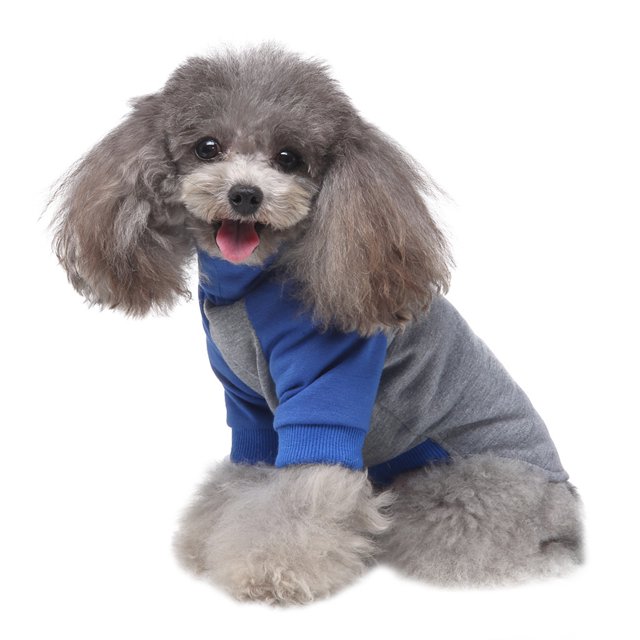 Vêtements pour Animaux Chandail Col Roulé Rayé Deux-Pièces Chandail pour Animaux