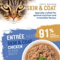 thumbnail image 2 of Catit Recipes Skin & Coat Seafood & Chicken Entree in Bone Broth for Adult Cats 85 G, 2 of 6