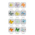 thumbnail image 3 of Modèle de Papillon de Simulation 12 Ensembles de Science et d'Éducation pour Enfants Animal, 3 of 8