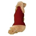 thumbnail image 1 of Holiday Time Sweat à capuche rhubarbe avec poche pour chien, 1 of 3