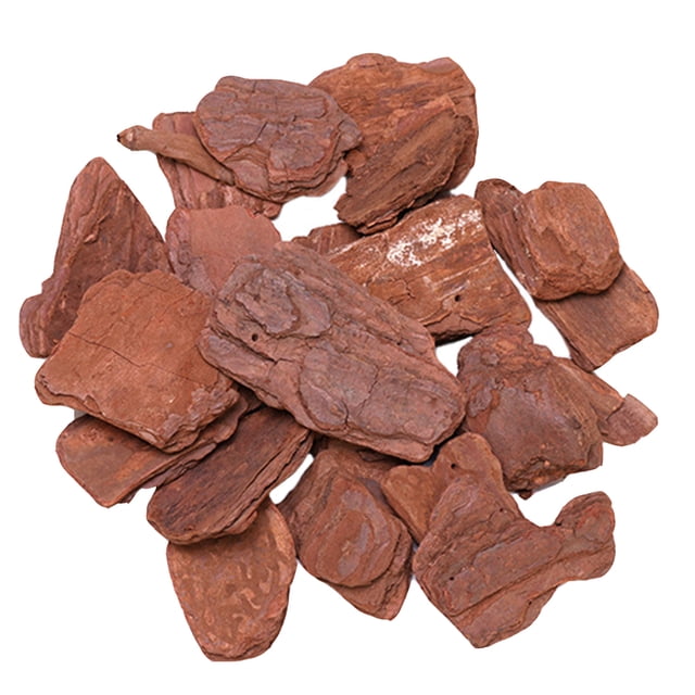 1 Pack Boîte de Reptiles Réservoir d'Écorce de Pin Matériau Paysager Forêt Tropicale (500g/Pack)