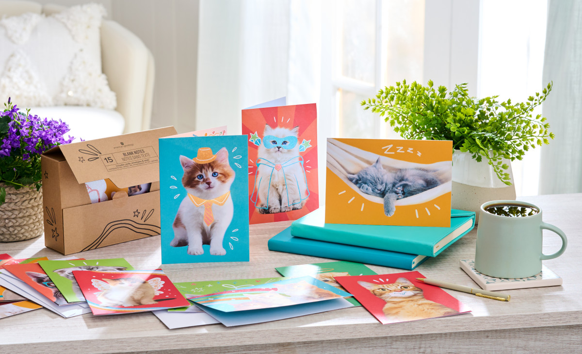 American Greetings - Assortiment en boîte de 15 cartes sans texte et enveloppes, Chats rigolos