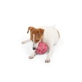 thumbnail image 2 of One Paw, Rope Ball, Dog Toy, Durable Rope Chewing Play, 2 of 4
