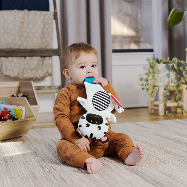 Baby Einstein Zen the Zebra Sensory Plush Teether - Walmart.ca