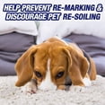 thumbnail image 2 of Resolve Pet Ultra Foam Carpet Cleaner, 623g, 2 of 9