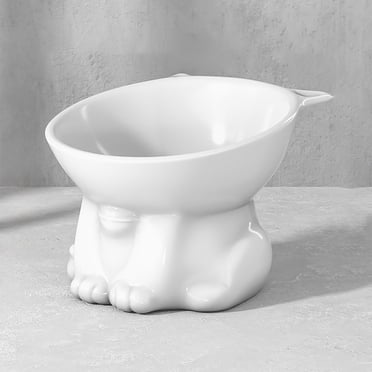 Bol de Nourriture pour Chats Grande Capacité Bol de Nourriture pour Animaux Bol Mignon pour Boire pour Chats pour Protéger le Cou, Czzoypi à Moins de 5 $! Bol de Nourriture pour Chats Grande Capacité