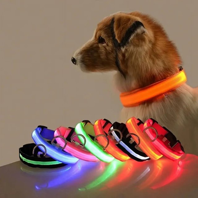 Pet Collar Cat Luminous Pet LED No Printed Luminous Safety Collar for Cats Dogs