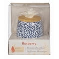 thumbnail image 3 of ScentSationals Botanical Diffuser - Burberry, 3 of 5