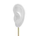 thumbnail image 3 of Earring Display Stand Human Ear Model Womens Earring Stud Holder Showcase Jewelry Organizer Left Translucent, 3 of 9
