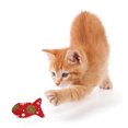 thumbnail image 3 of Christmas Pet Toy Creative Fish Design Cute Cat Interactive Toy Cat Chew Toy, 3 of 10