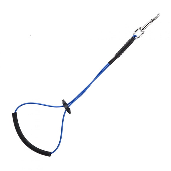 Dog Grooming Loop, Strong And Durable Dog Cat Grooming Single Noose Hoop Table Grooming Loop, For Dog Home Pets Cat