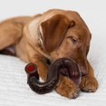 thumbnail image 4 of SIfdSeng Dog Chew Toys Durable Chew Toys for Stubborn Chewers Dog Toys Dog Interactive Chew Toys 1Pc Large Dog Toys for Aggressive Chewers Dog Chew Toy Large Dog Toys for Aggressive Chewers, 4 of 8