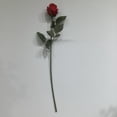 thumbnail image 1 of Red Rose Bud, 1 of 3